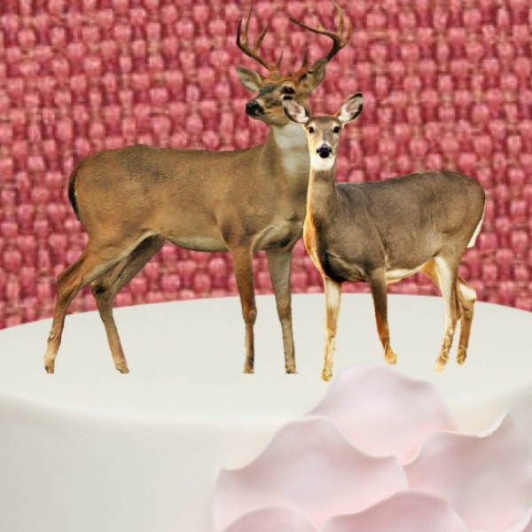 Stag and Doe thumbnail