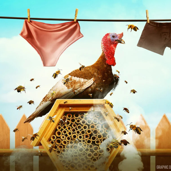 The Birds and The Bees thumbnail